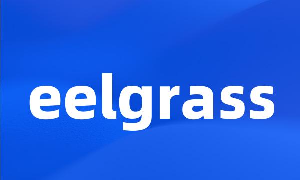 eelgrass