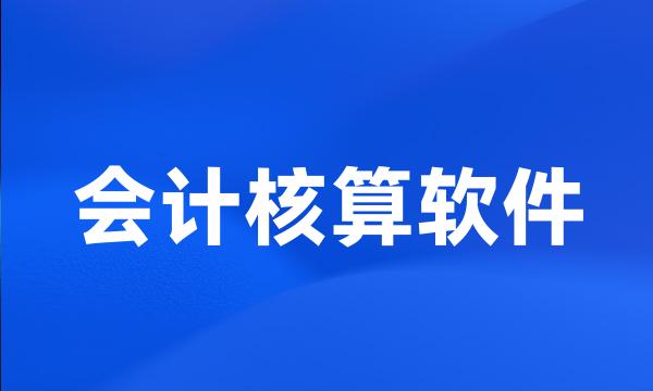 会计核算软件