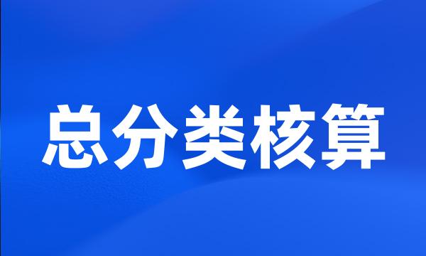 总分类核算