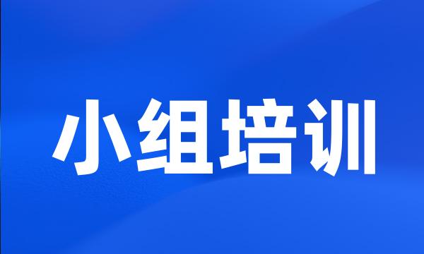 小组培训