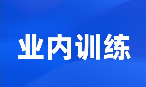 业内训练