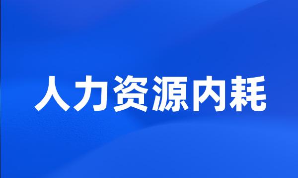 人力资源内耗