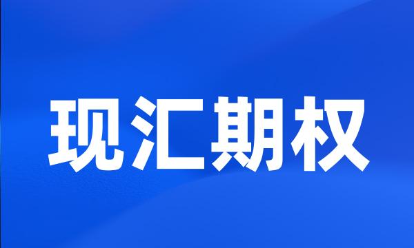 现汇期权