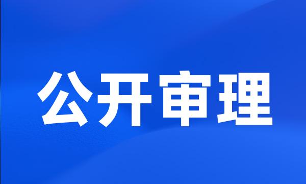 公开审理