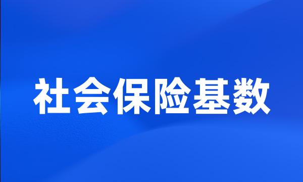 社会保险基数