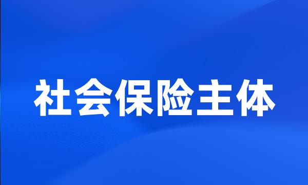 社会保险主体