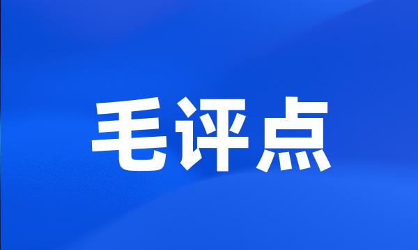 毛评点