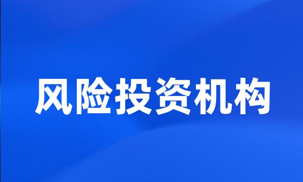 风险投资机构