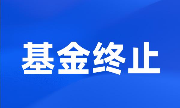 基金终止