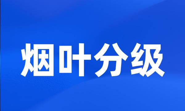 烟叶分级