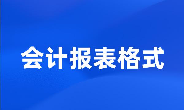 会计报表格式