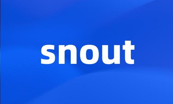 snout