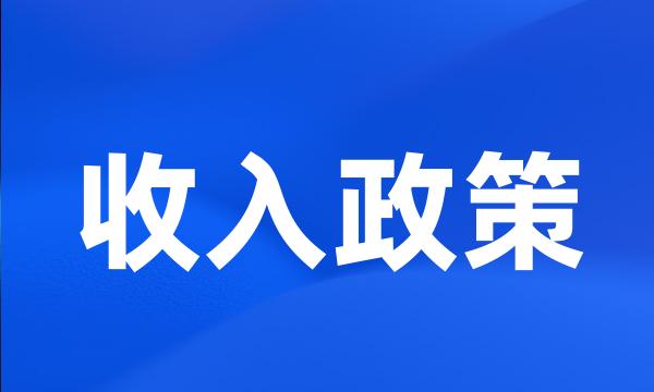 收入政策