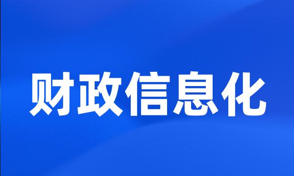 财政信息化