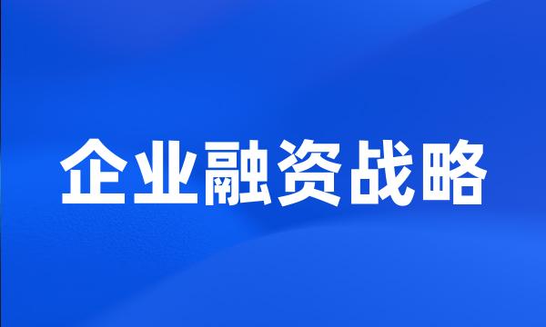 企业融资战略