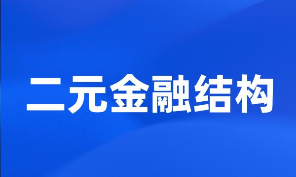 二元金融结构