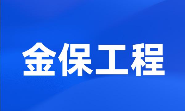 金保工程