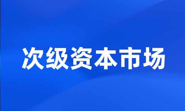 次级资本市场