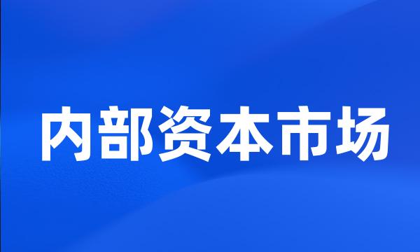 内部资本市场