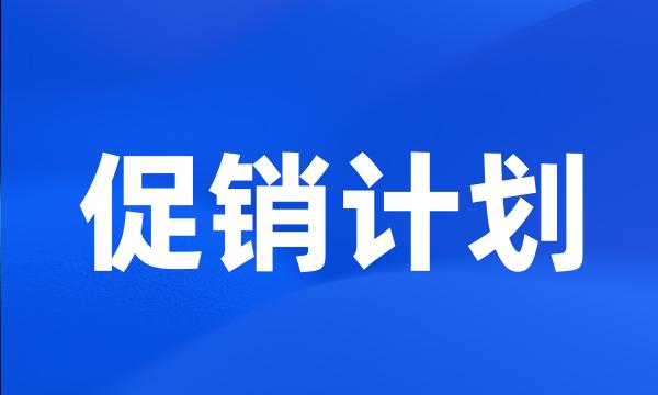 促销计划