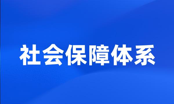 社会保障体系