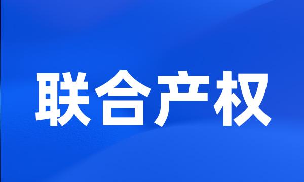 联合产权