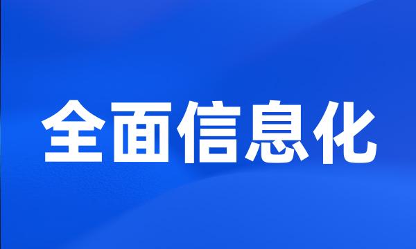 全面信息化