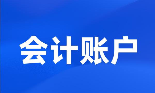 会计账户