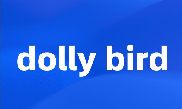 dolly bird