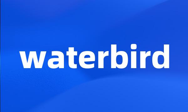 waterbird