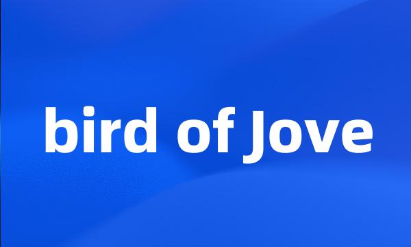 bird of Jove