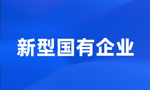 新型国有企业