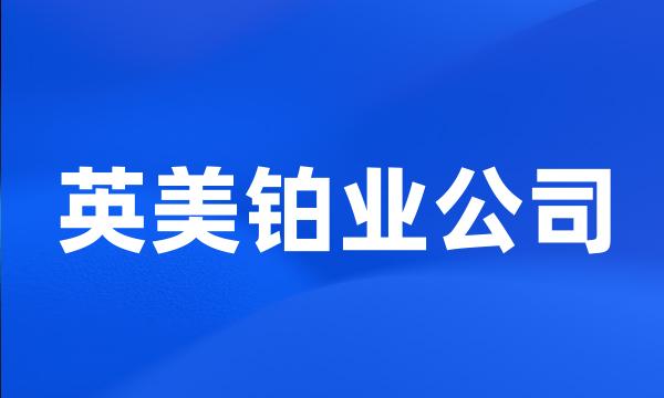 英美铂业公司