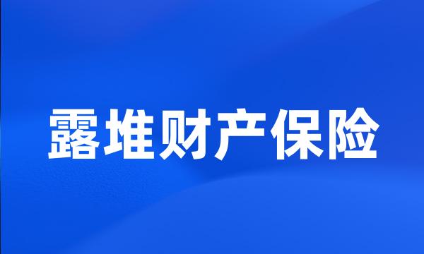 露堆财产保险