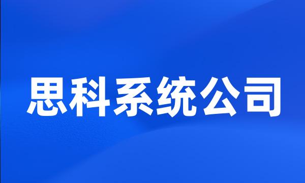 思科系统公司