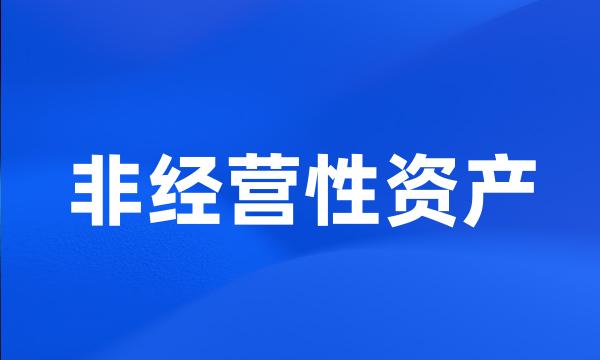 非经营性资产