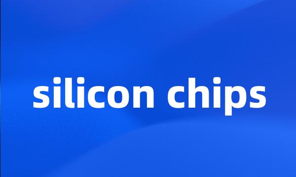 silicon chips