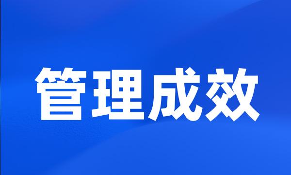 管理成效