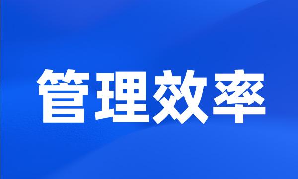 管理效率