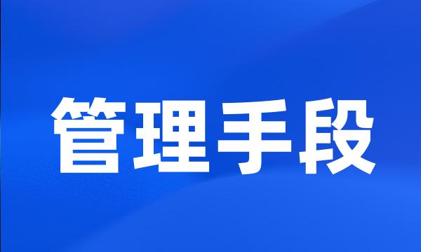 管理手段