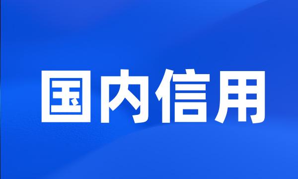 国内信用