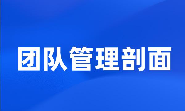 团队管理剖面