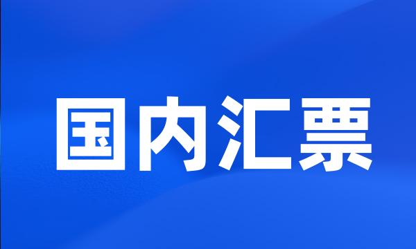 国内汇票