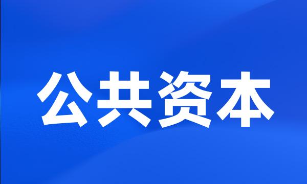 公共资本