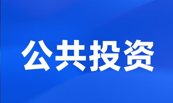 公共投资