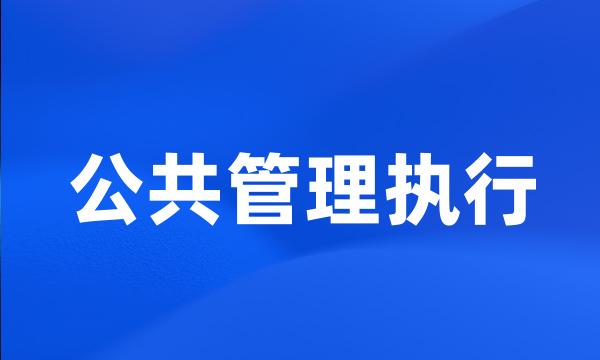 公共管理执行