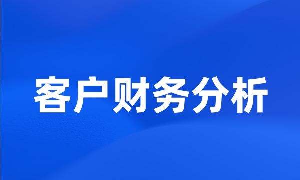 客户财务分析