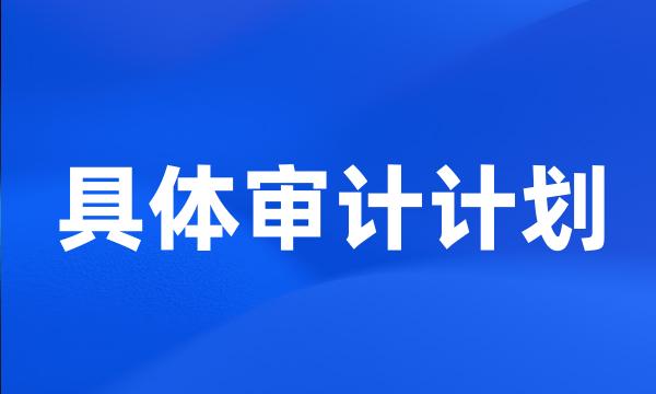 具体审计计划