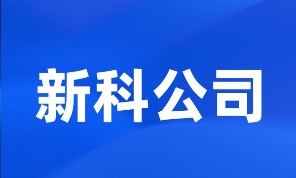 新科公司