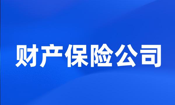 财产保险公司